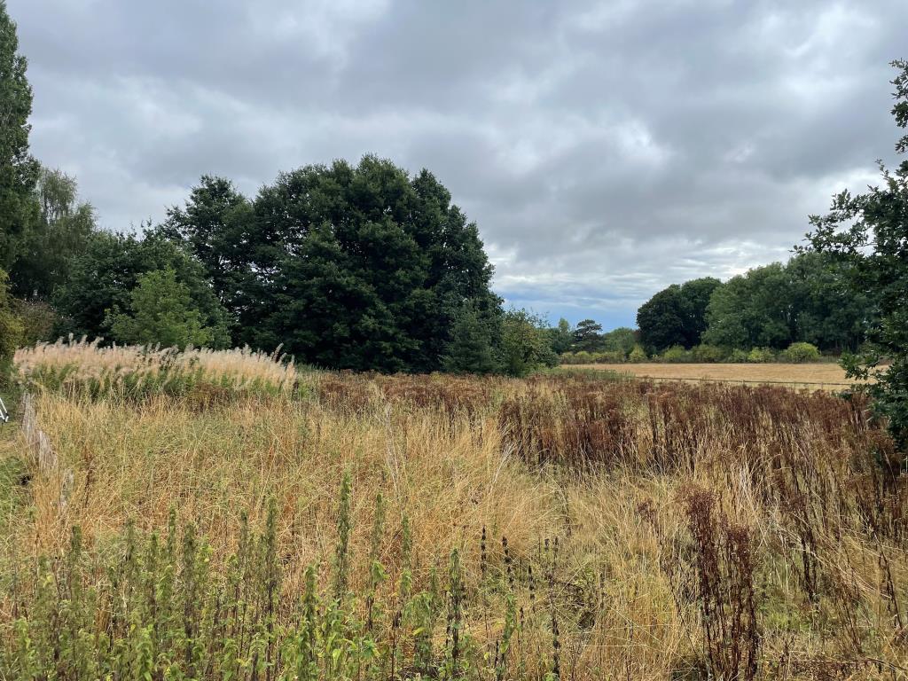 Lot: 90 - AROUND ONE AND A HALF ACRES OF LAND WITH POTENTIAL -